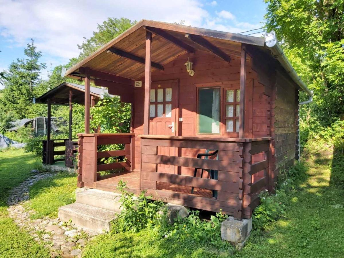 Bungalow Camping Edelweiss - Floare De Colt - Gyopar Rimetea Exterior photo